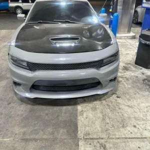 16 cat slim body $3k